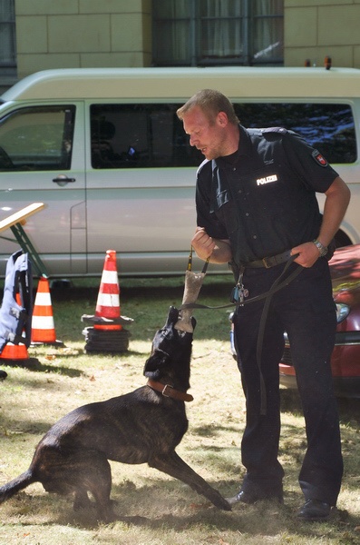 Polizeidirektion   117.jpg